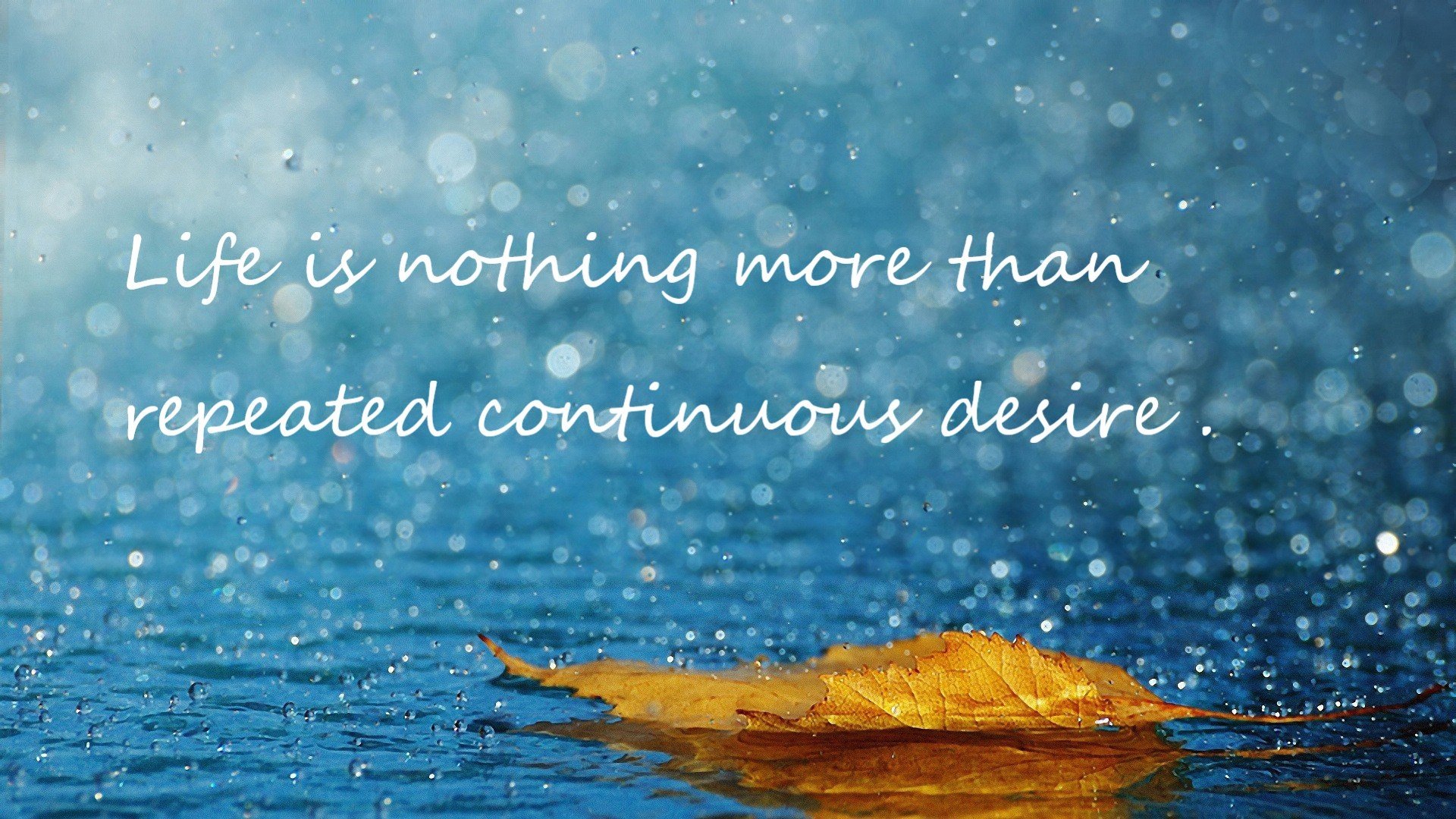 独行侠力克凯尔特人晋级,恩比德季后赛接管比赛显巨星本色