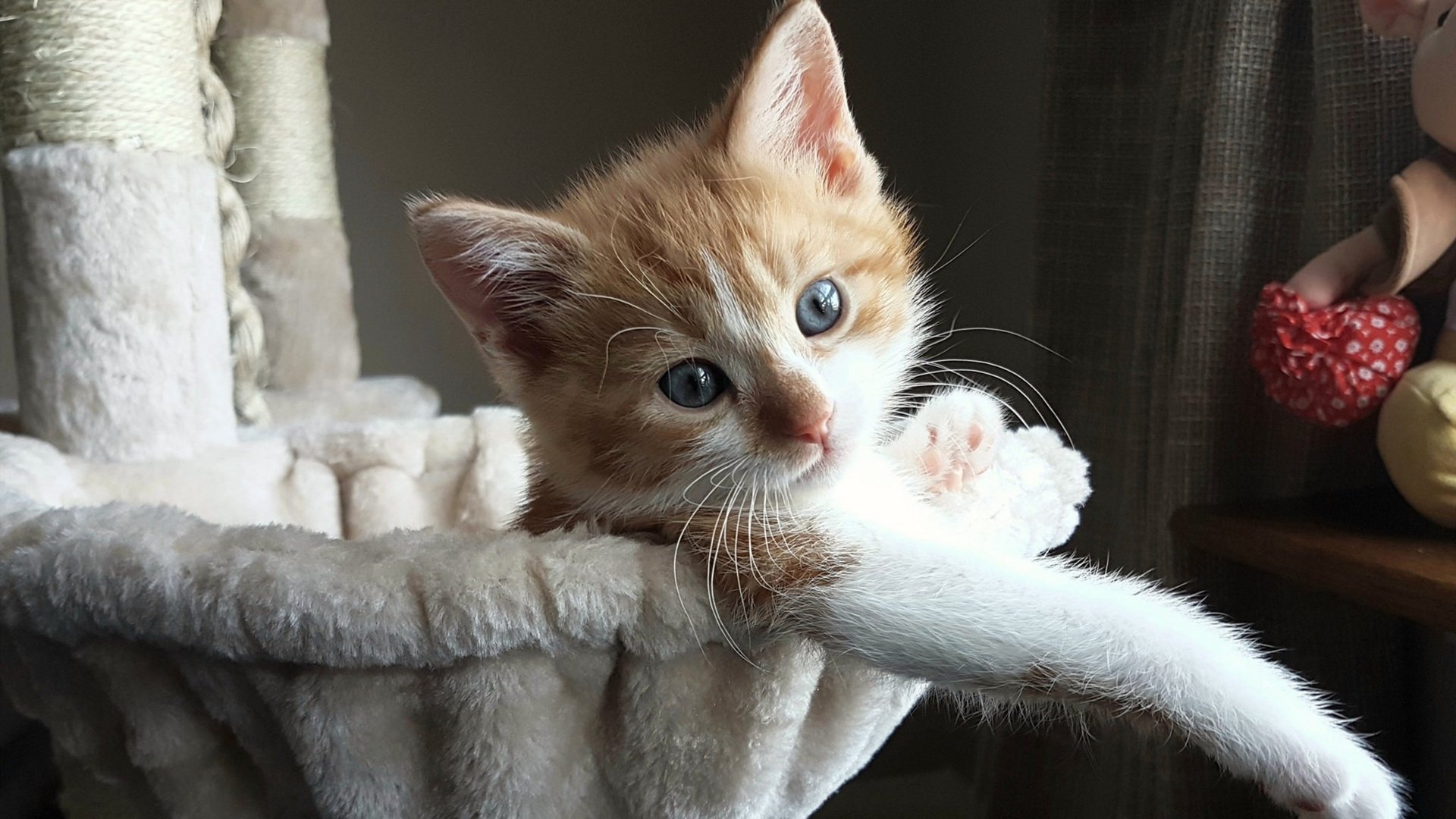 爱德华兹末节狂飙,开拓者以压倒性优势横扫上海