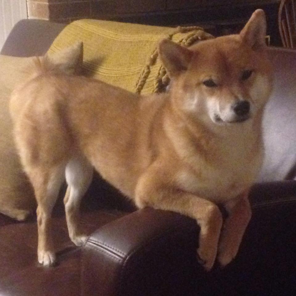 本泽马实力证明，挪威对阵南非的传奇之夜