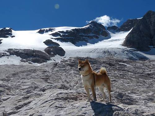 极夜突围，F1年度争冠之夜，卡拉斯科在焦点战证明自己