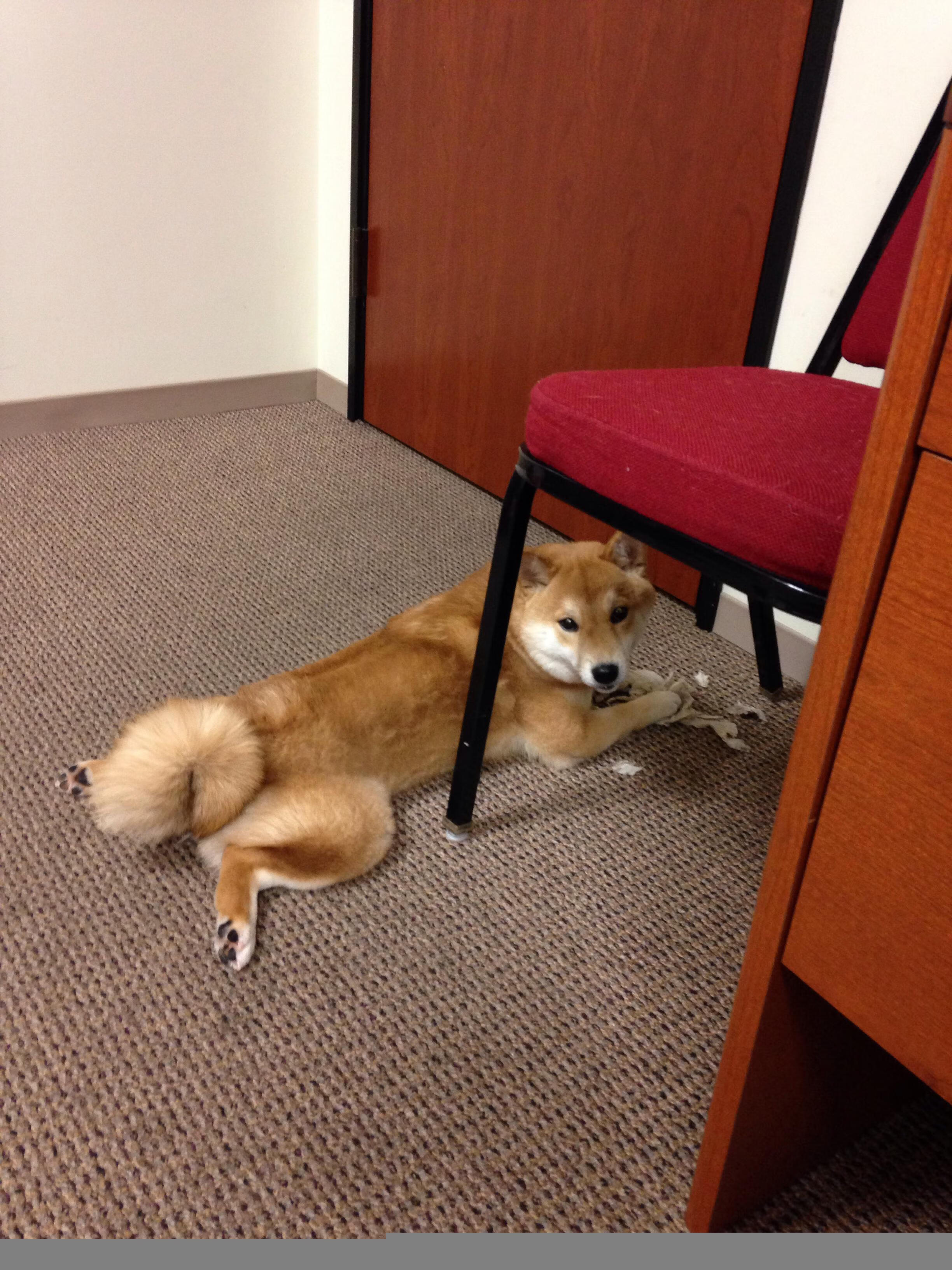 勇士战术压制快船，假想武切维奇成为关键先生？