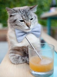 当无解的杰伦格林，遇上拆解全局的浙江队