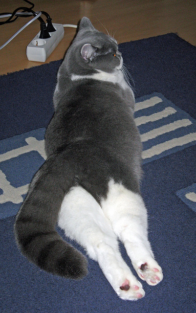 篮球圣手拯救足球之夜，克莱·汤普森的国家德比奇缘