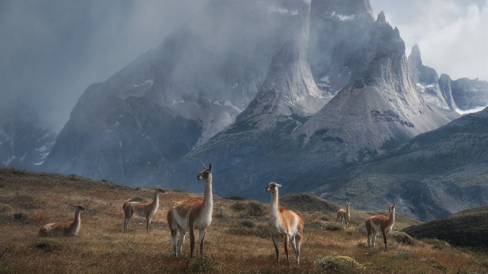 李刚仁闪电破局定基调,希腊铁军压哨绝杀比利亚雷亚尔