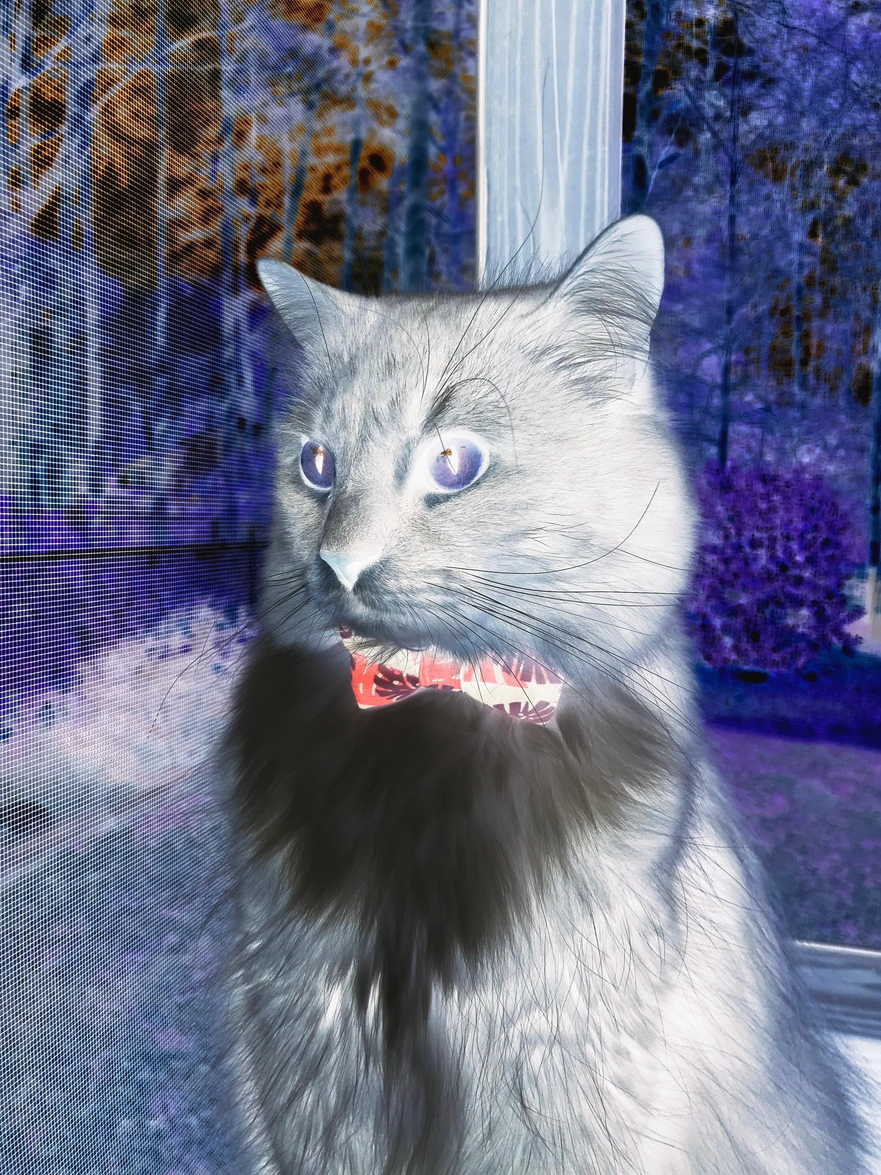 破界，当奇才横扫北京队，莫兰特用一场胜利定义新篮球时代