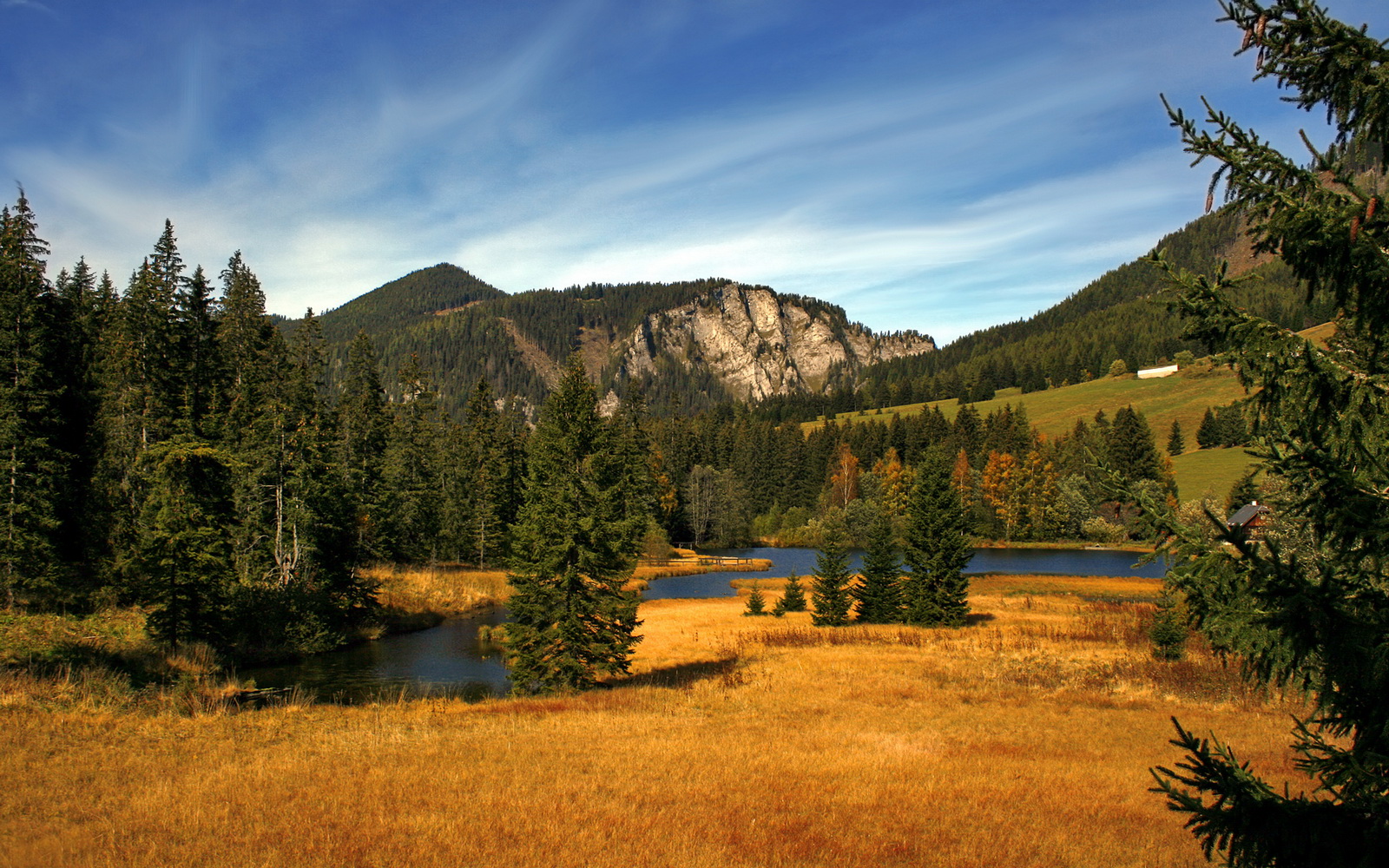 范弗利特领军击穿钢铁防线,公牛力克辽宁展现跨洲篮球力量