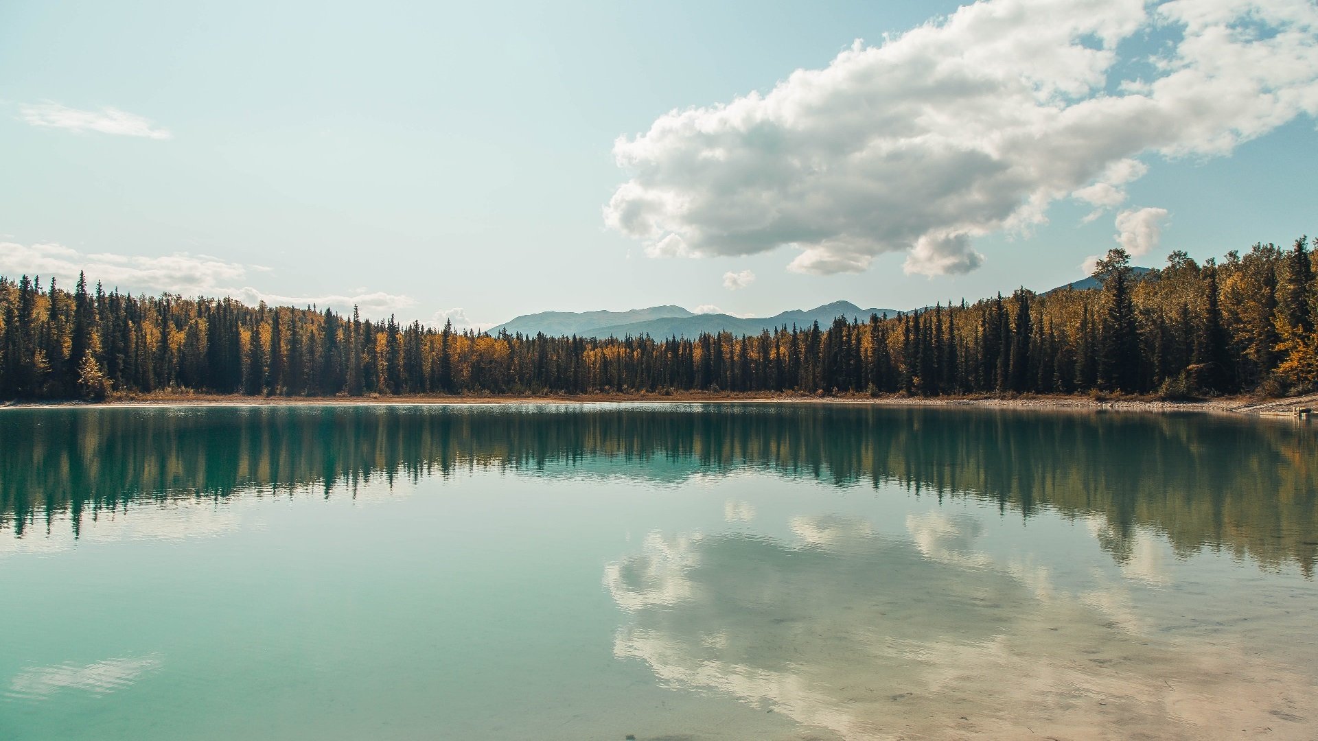 篮下巨塔与绿茵铁闸,当戈贝尔的统治力空降英超争冠混战