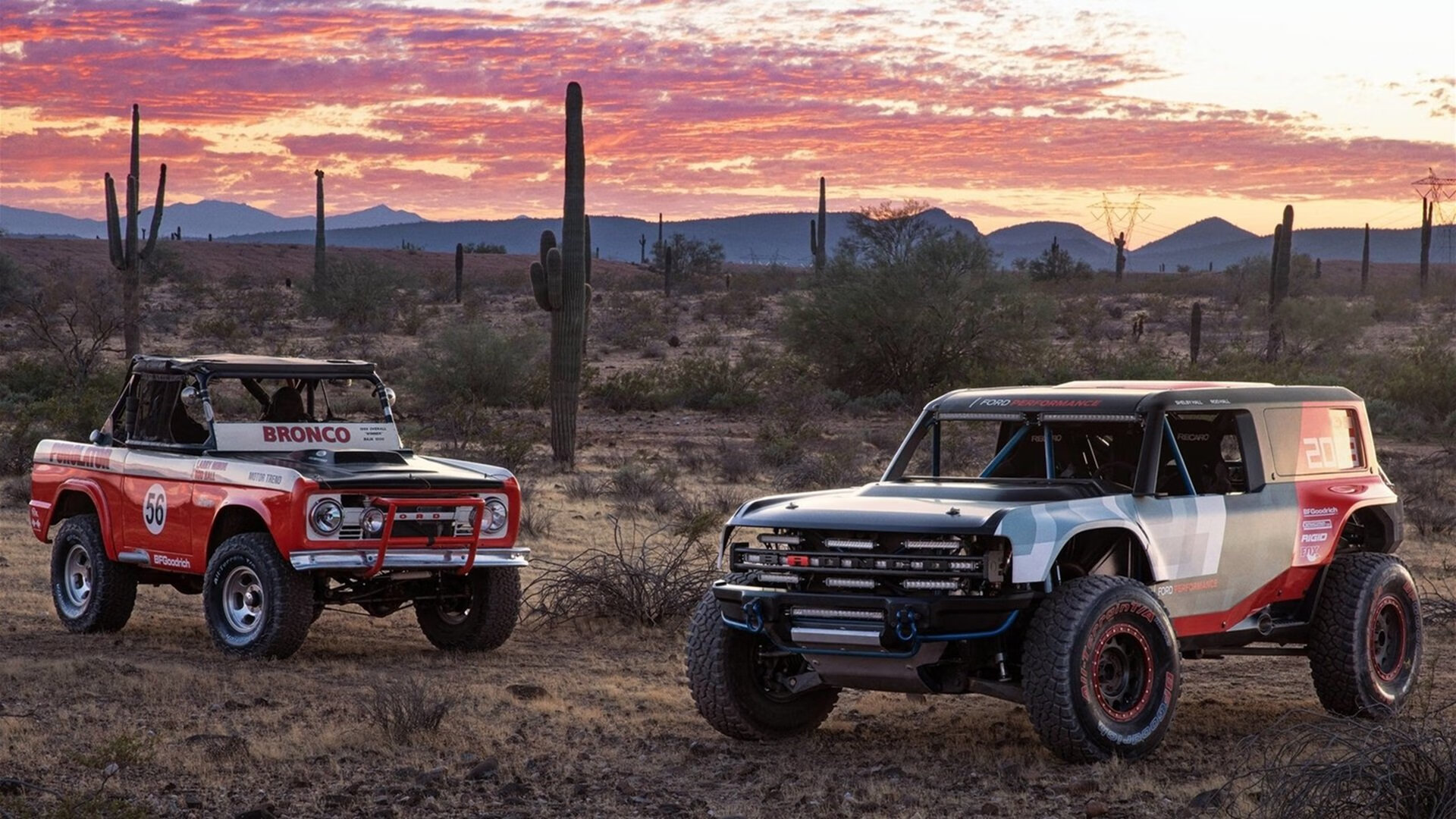 广东队强行终结森林狼，文班亚马高光表现震撼全场