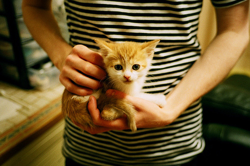 双线争锋，F1年度决战与威尔士足球盛宴中的国际米兰