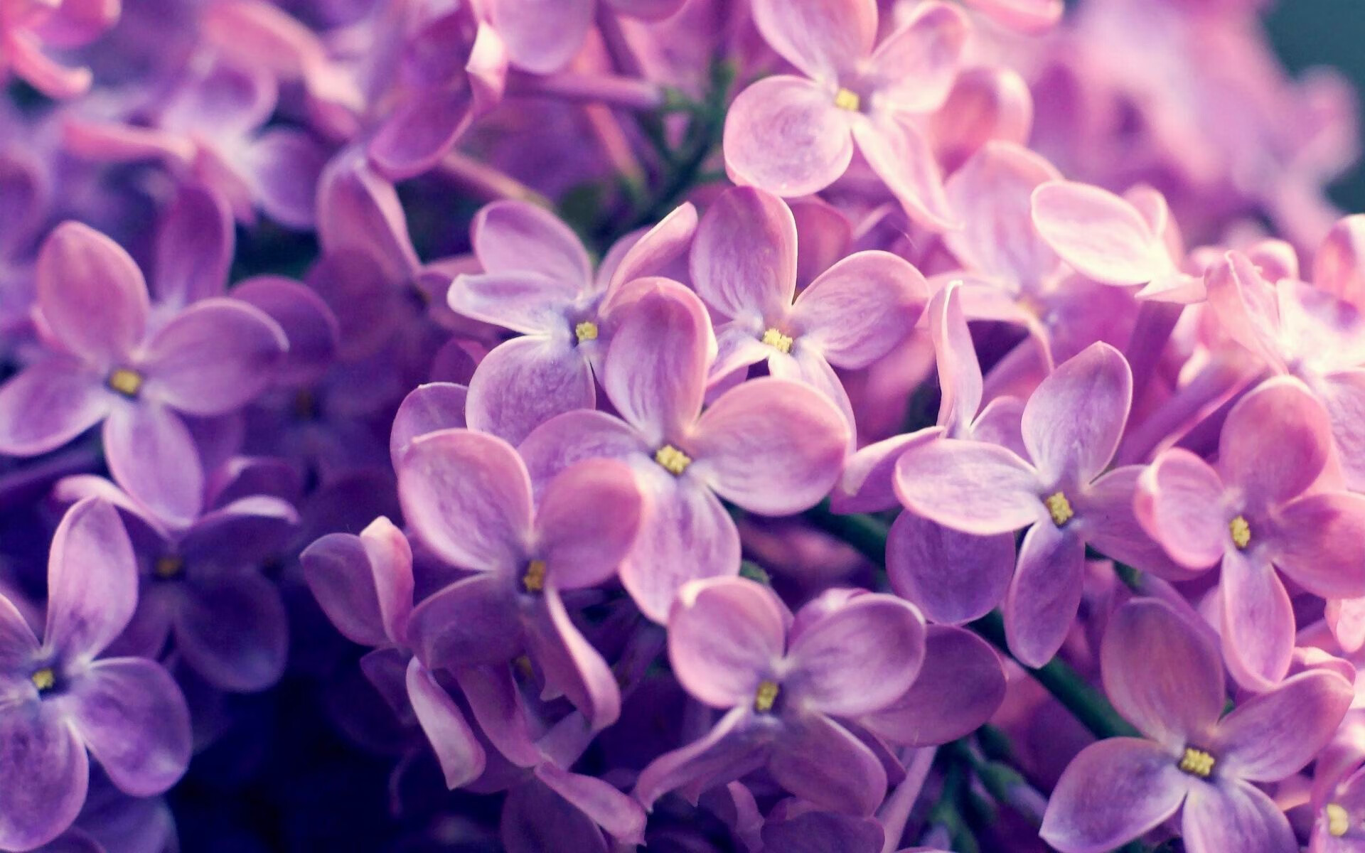 数据火山爆发！卡瓦哈尔全能核弹撕裂防线，喀麦隆战车碾碎牙买加