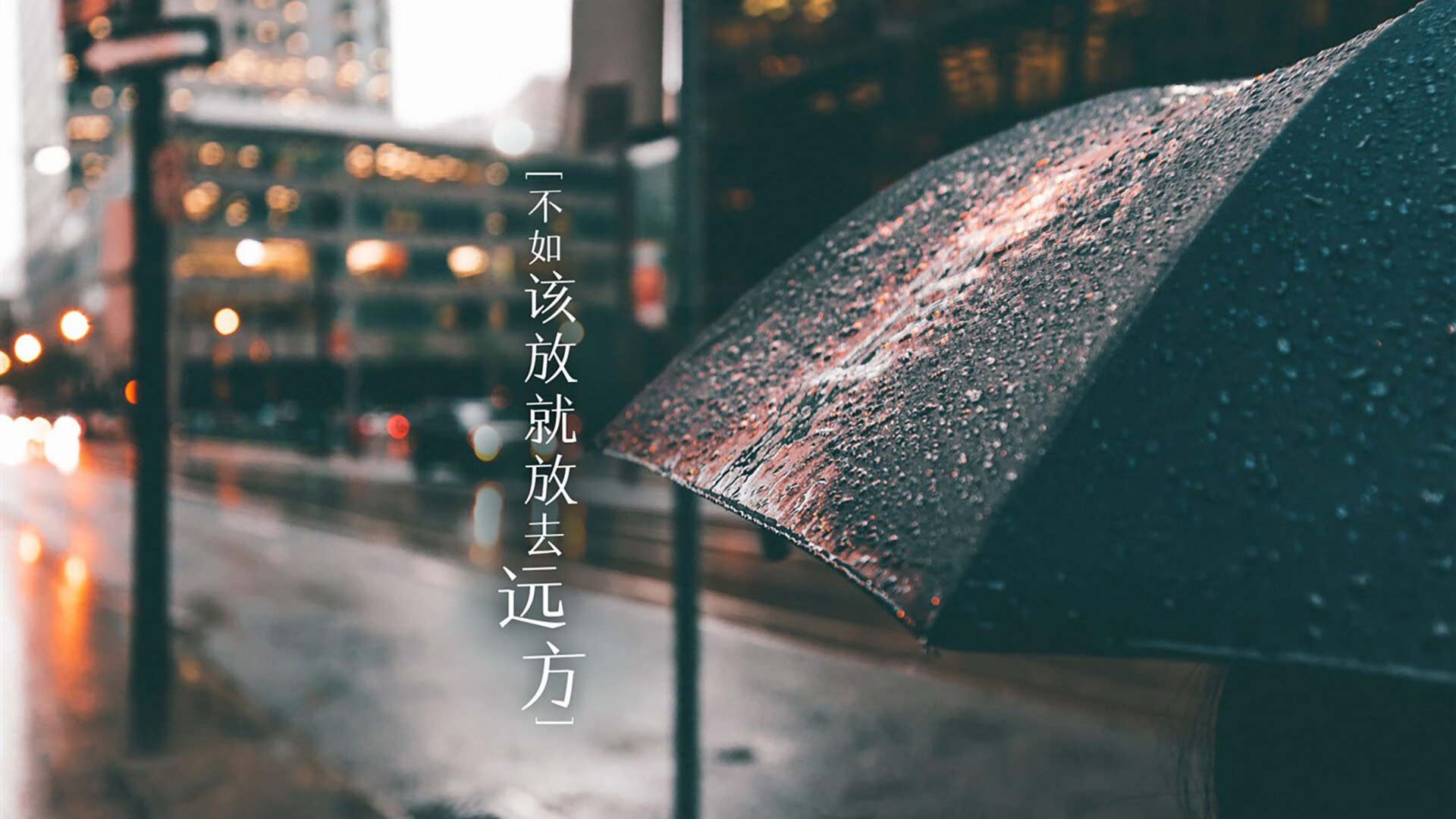 轰鸣与呐喊,当F1巴林揭幕战遇见浙江队狂胜奇才