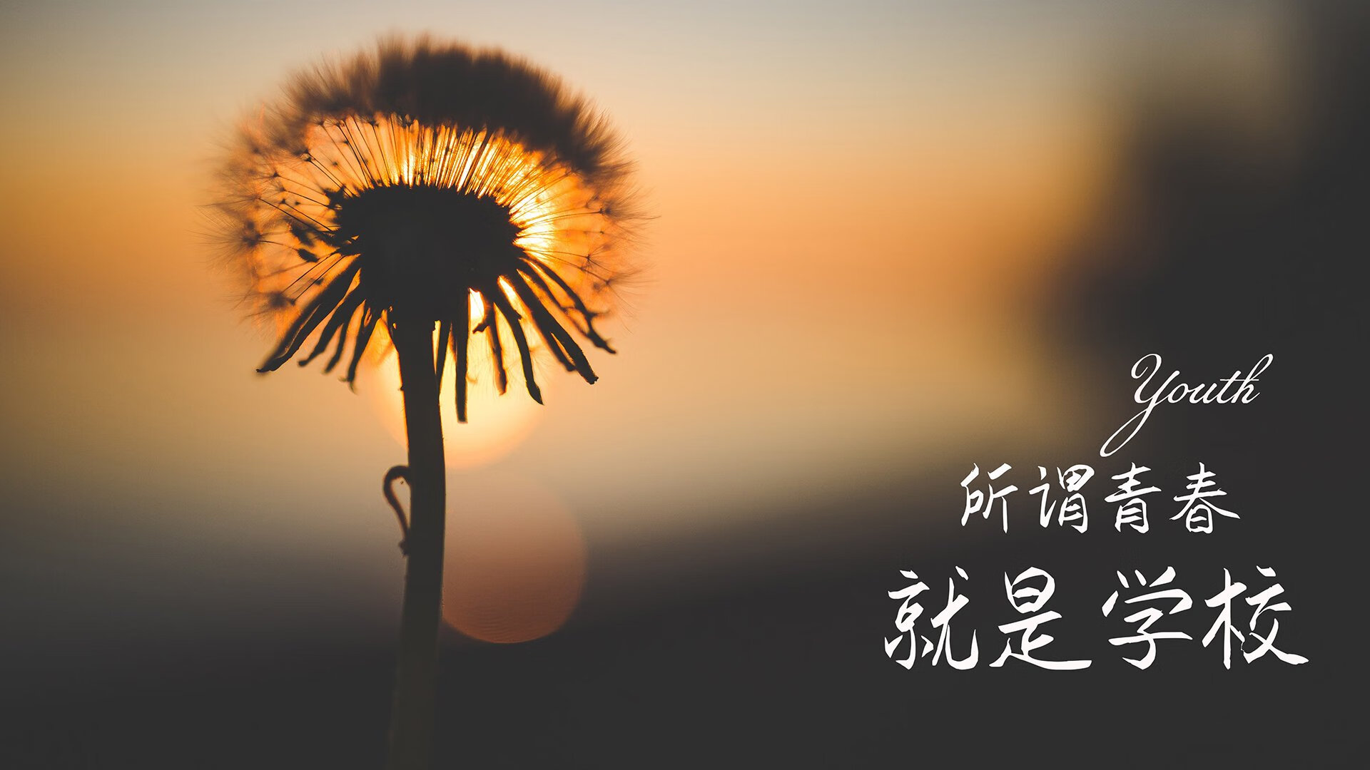 高原雄鹰振翅高飞，厄瓜多尔压制匈牙利，C罗宝刀不老闪耀2026世界杯半决赛