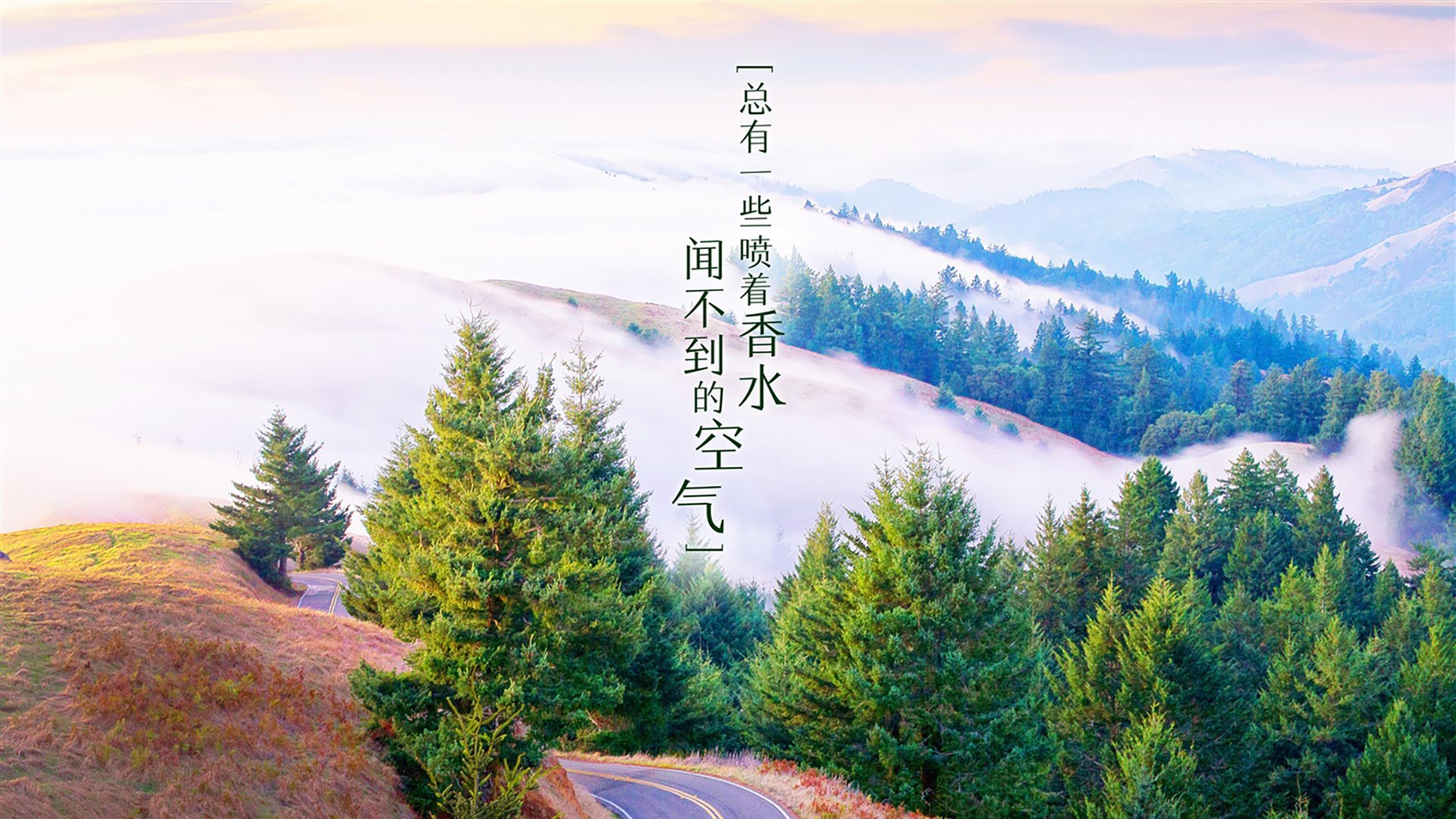 加纳绝杀瑞典,努涅斯独中两元点燃2026世界杯H组战火